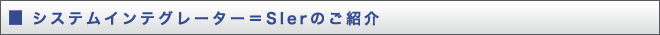 VXeCeO[^[SIer̂Љ